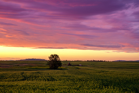 348A9341-HDR