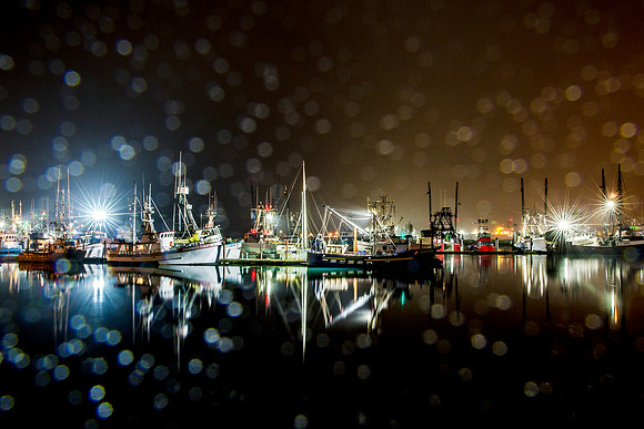 348A2781-Edit